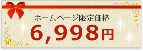 ホームページ限定価格 11,160円