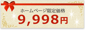 ホームページ限定価格 15,960円